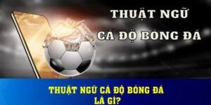 cac thuat ngu ca do bong da