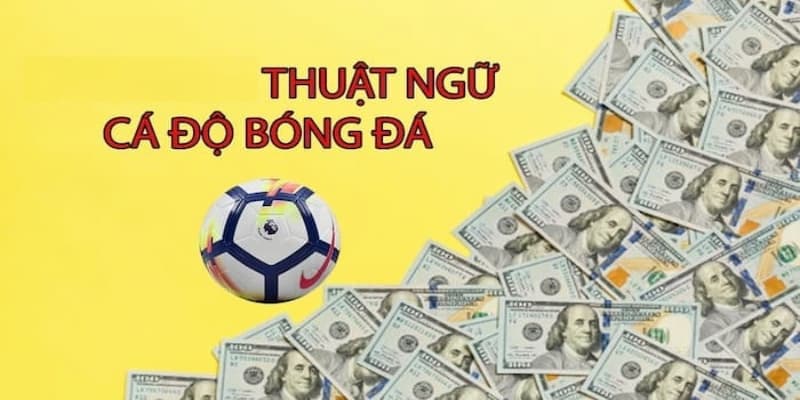 Các thuật ngữ trong cá độ bóng đá đã nâng cấp hơn 