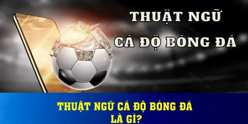 Các Thuật Ngữ Cá Độ Bóng Đá - Hướng Dẫn Chi Tiết Cho Người Mới 1 cac thuat ngu ca do bong da