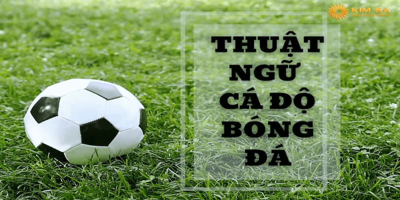 Các thuật ngữ cá độ bóng đá  