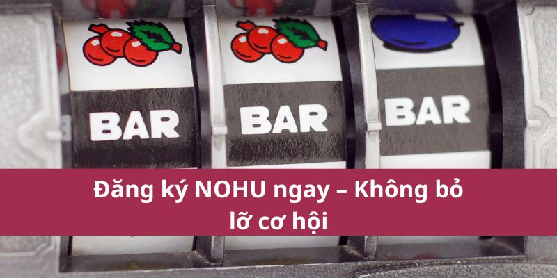 Đăng ký NOHU ngay – Không bỏ lỡ cơ hội