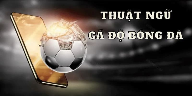 Khái niệm cơ bản của cá độ bóng đá
